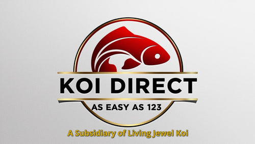 Koi Direct 